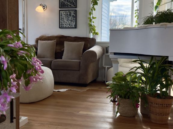 White Oasis